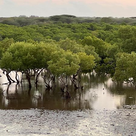 Mangrove House Hotel Lamu Buitenkant foto