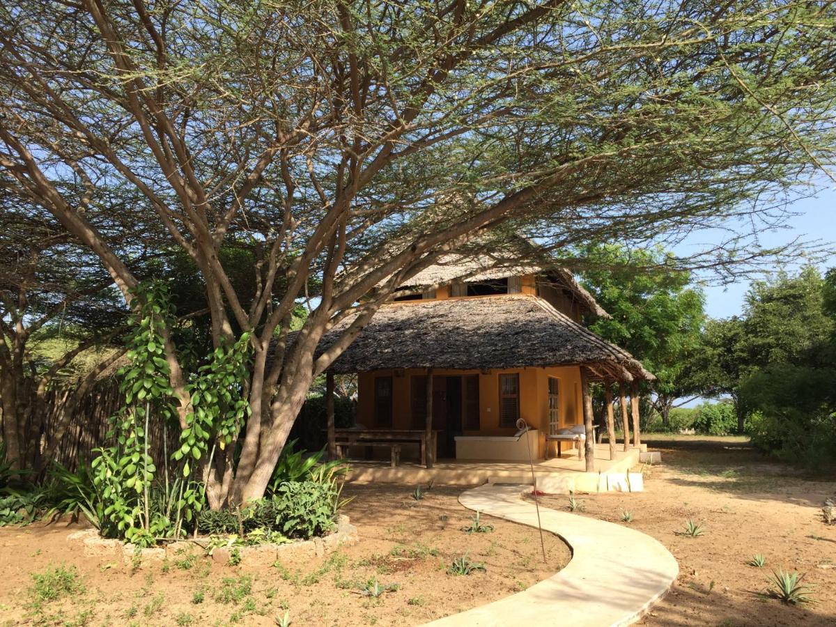 Mangrove House Hotel Lamu Buitenkant foto