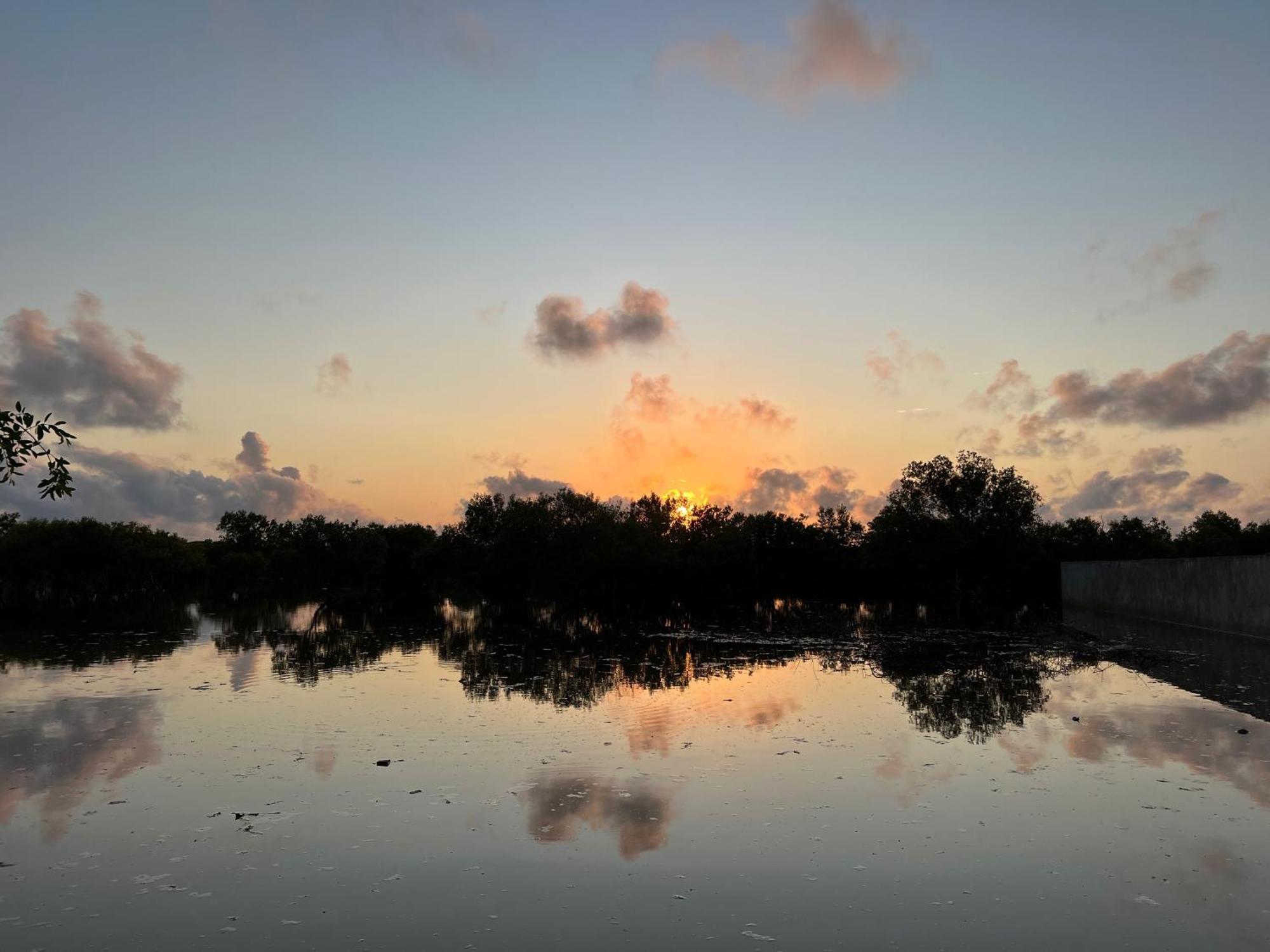 Mangrove House Hotel Lamu Buitenkant foto