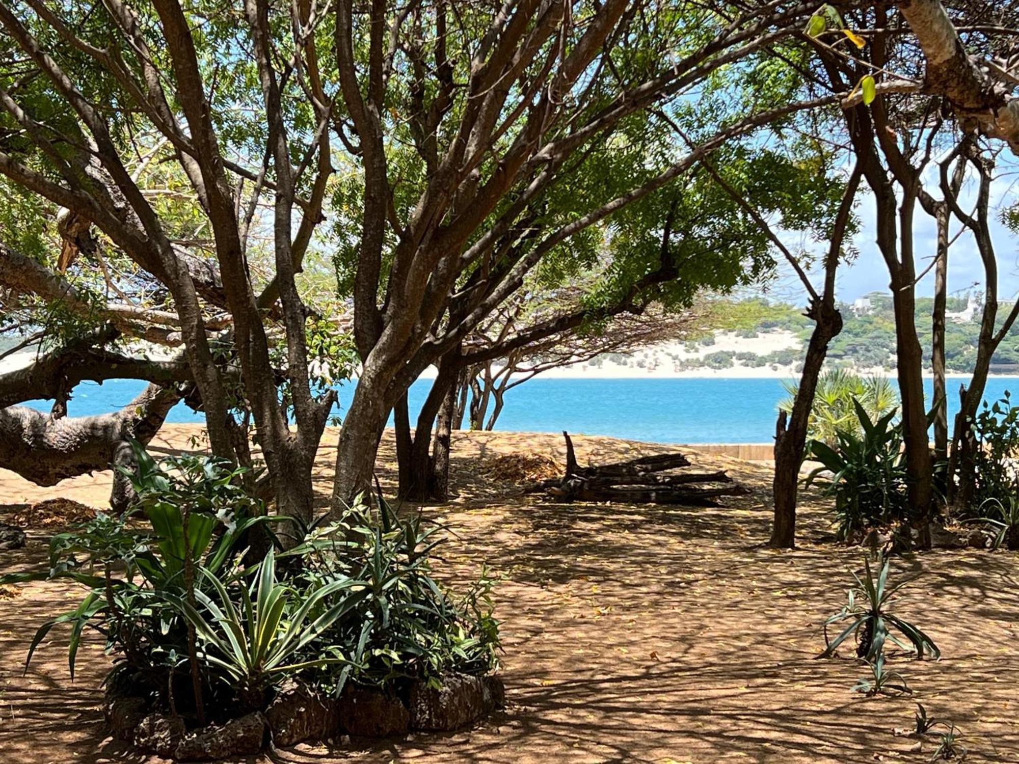 Mangrove House Hotel Lamu Buitenkant foto