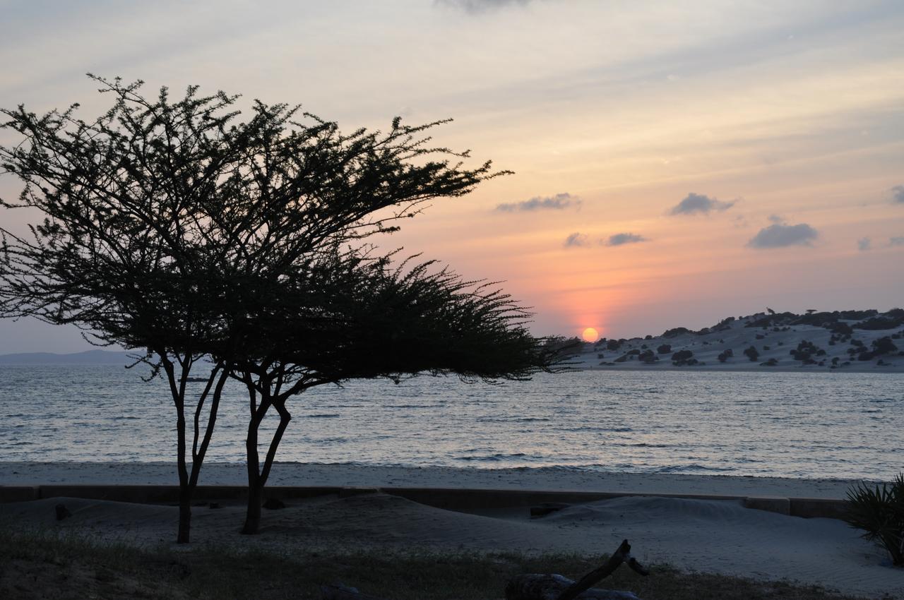 Mangrove House Hotel Lamu Buitenkant foto